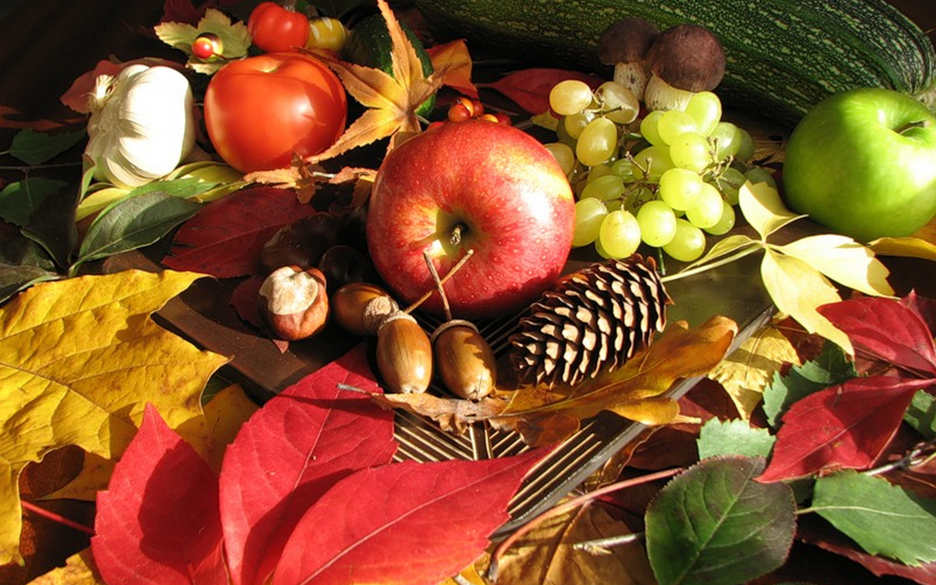 Autumn fruits in the beautiful light of sun