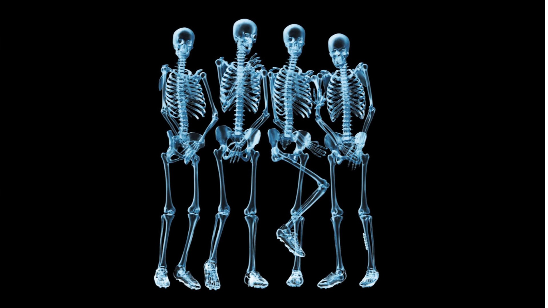 Funny Skeletons Naked Hd Wallpaper