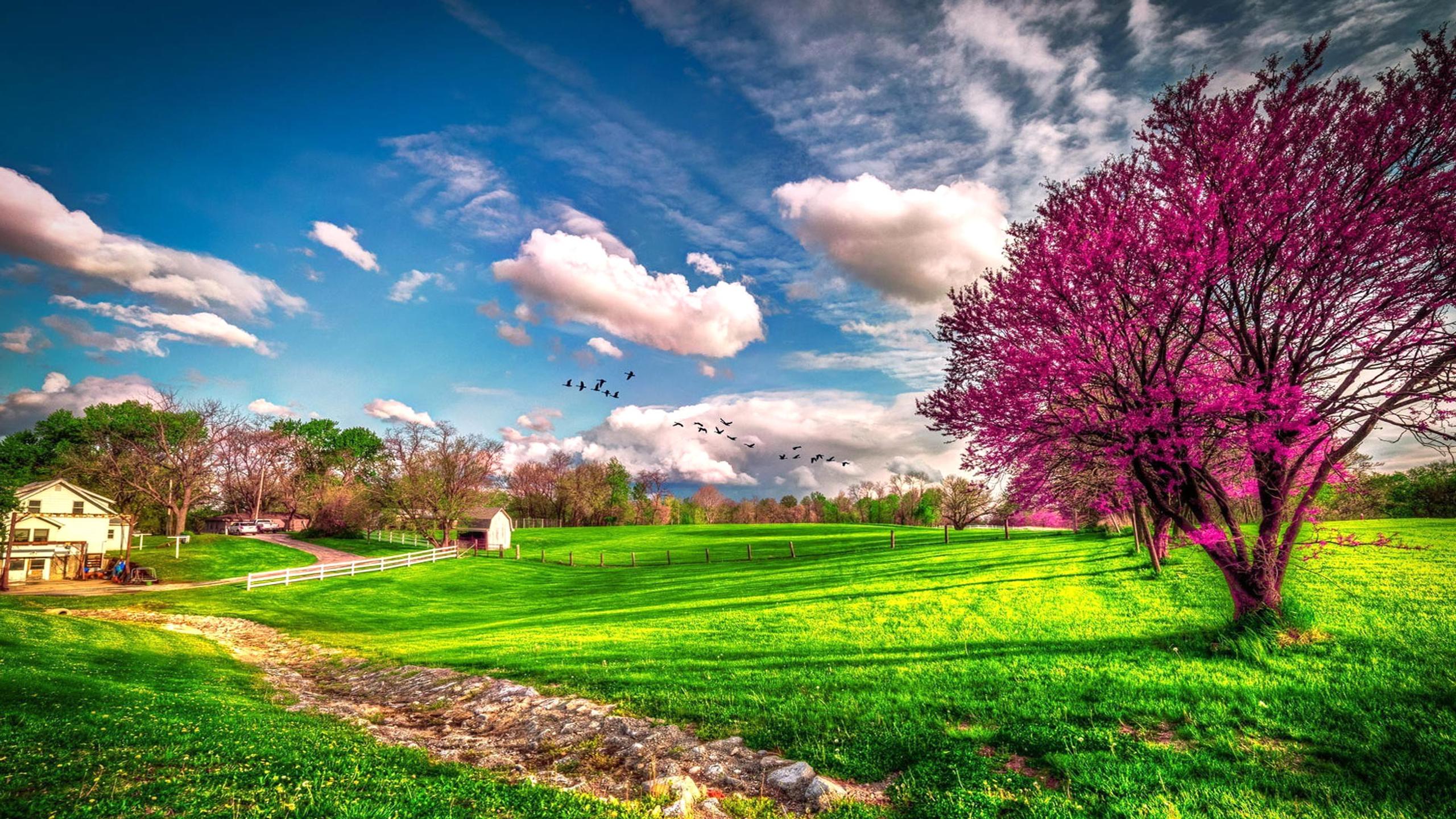 Landscape beautiful spring nature - HD wallpaper Wallpaper ...
