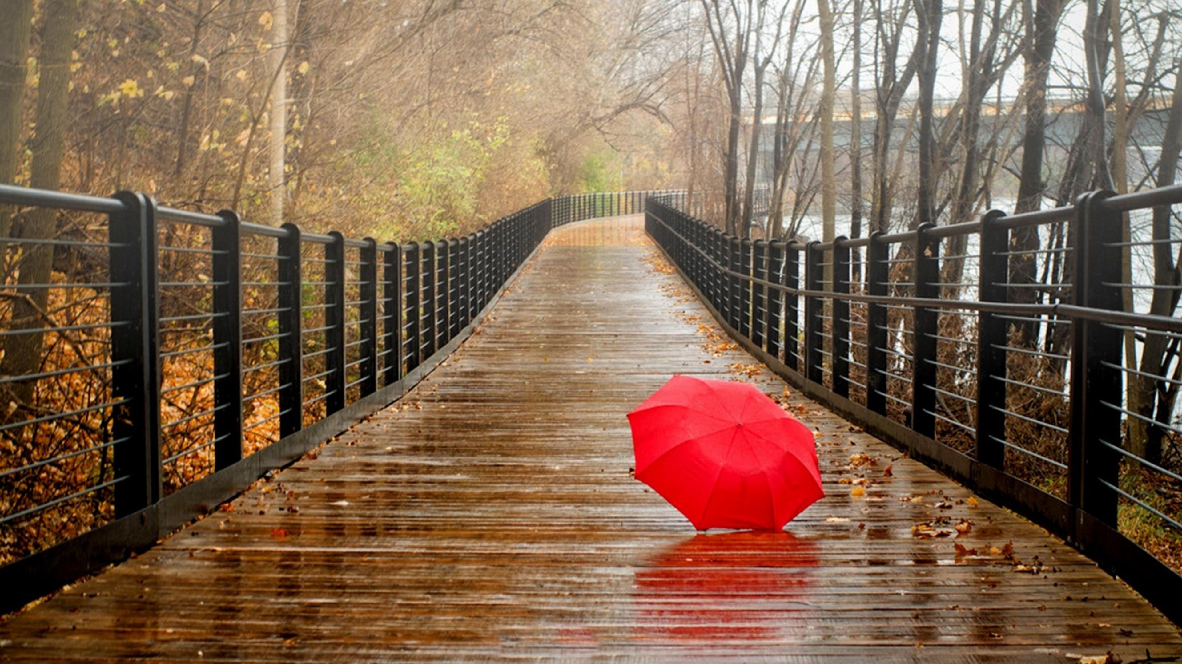 Red umbrella on the bridge - Rainy day Wallpaper Download ...