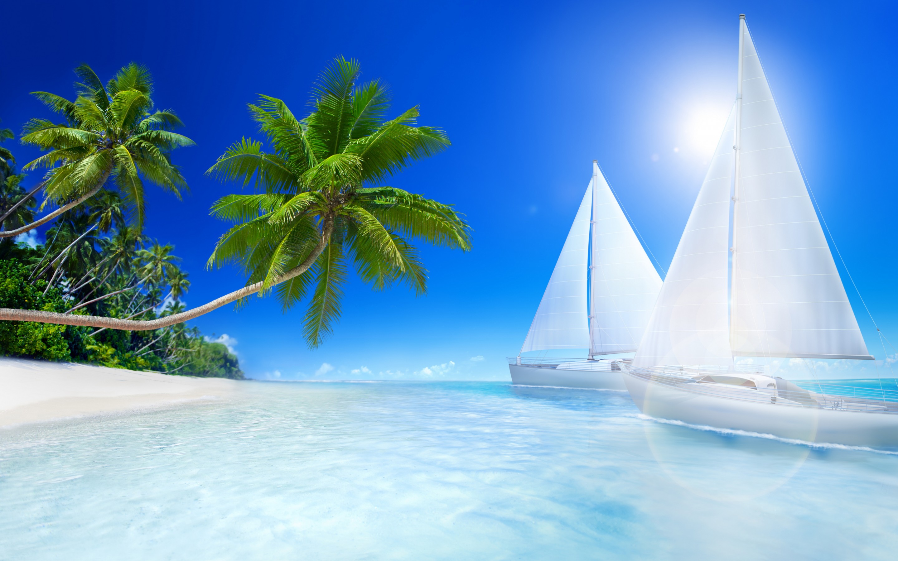 Tropical beach, palms and sailboat on the sea