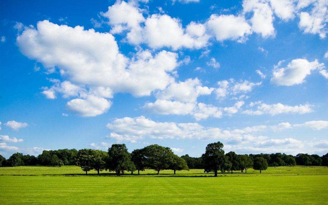 Download Wallpaper Beautiful summer day in the park - HD wallpaper