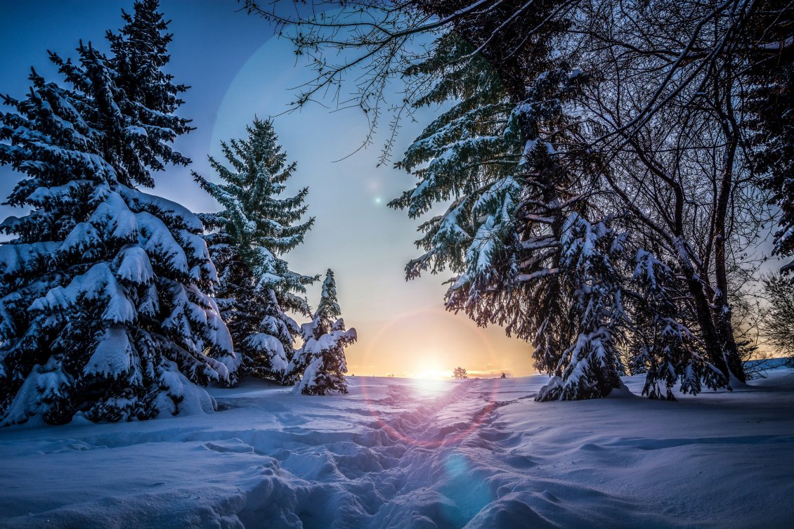Download Wallpaper Sunset of a winter day. Footprints in the snow
