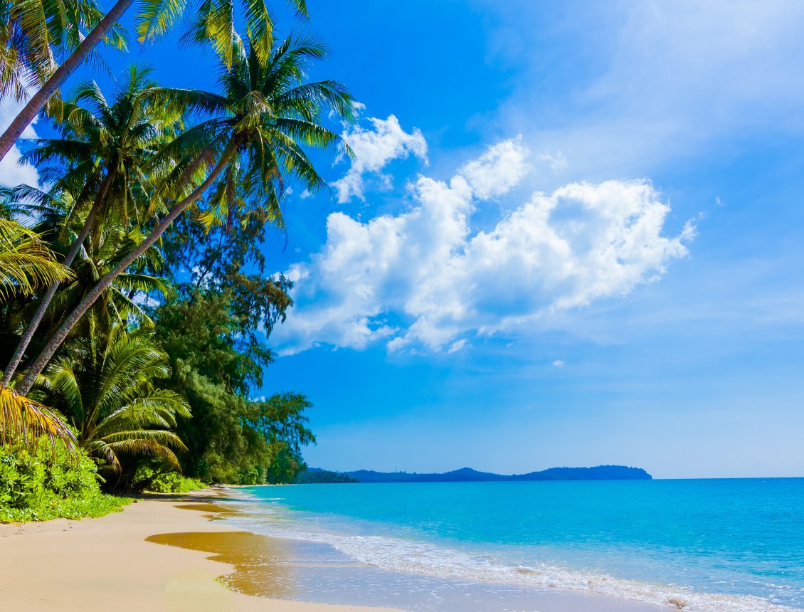 Download Wallpaper Sunny day on the beach HD