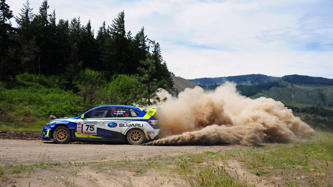 Download Wallpaper Subaru WRX STI , Rally Team USA