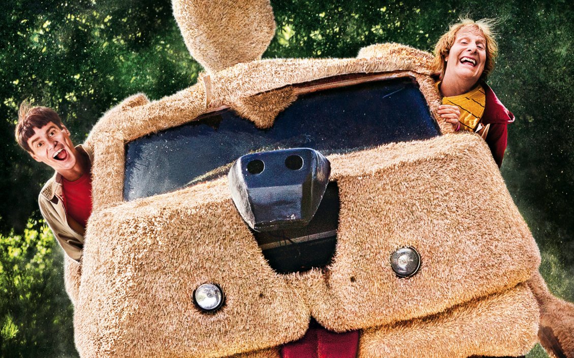 Download Wallpaper Dog car, Dumb and Dumber To