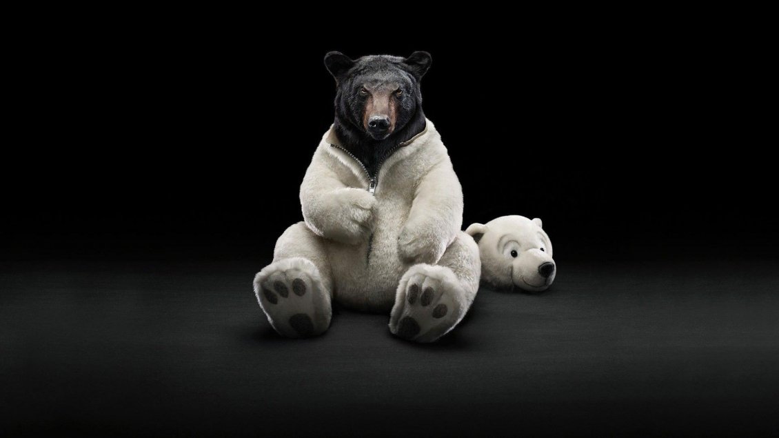 Download Wallpaper Funny clothes for a bear - polar bear