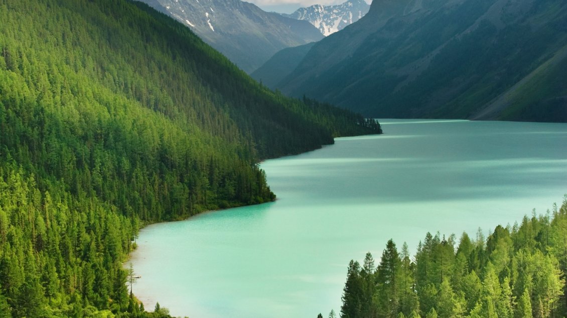 Download Wallpaper Blue river between green mountains