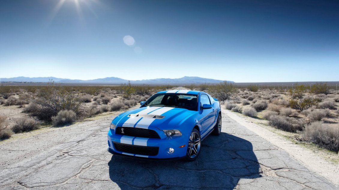 Download Wallpaper Blue Ford Mustang with white lines