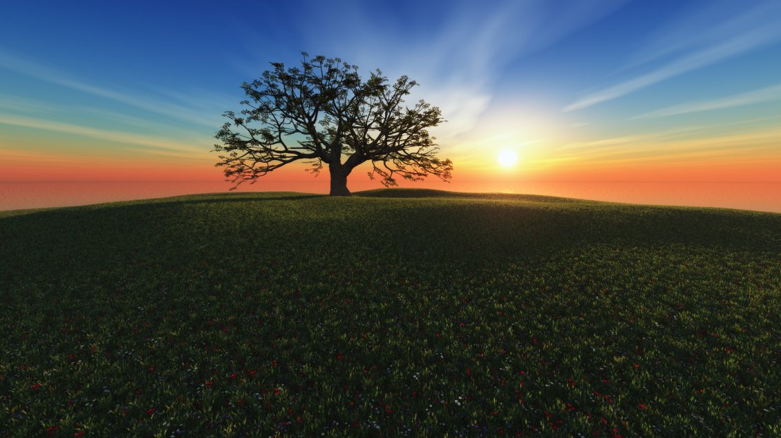 Download Wallpaper Awesome sunset, one tree on the hill