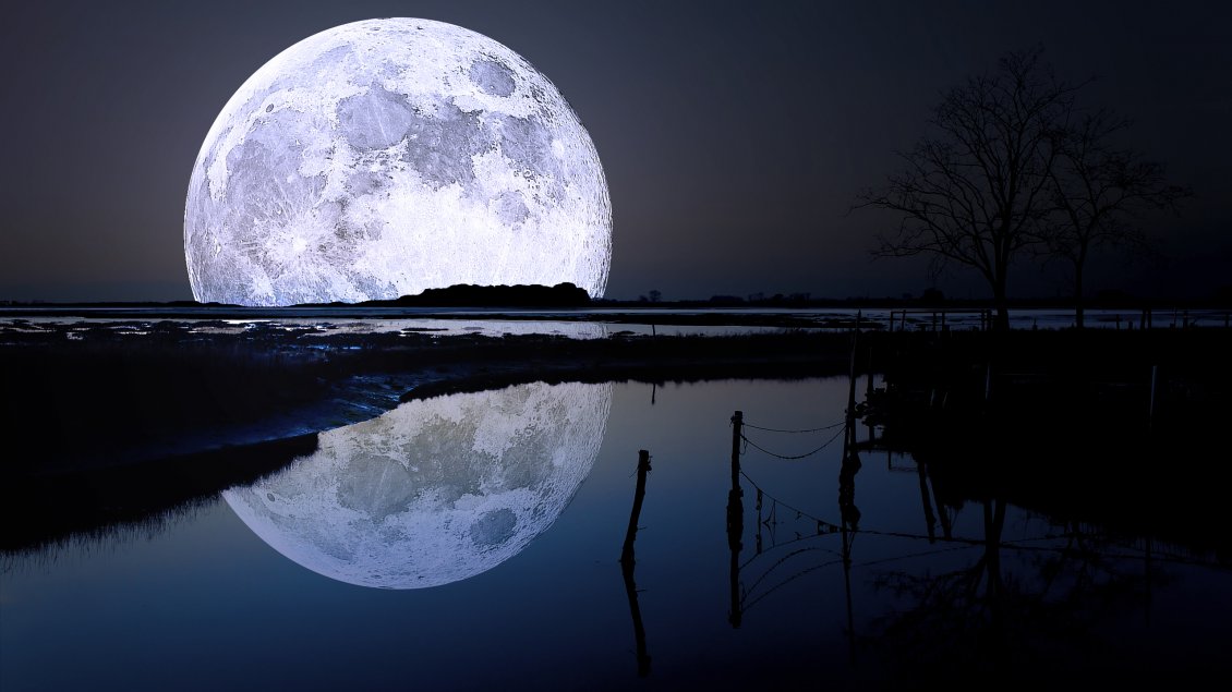 Download Wallpaper View with a full moon