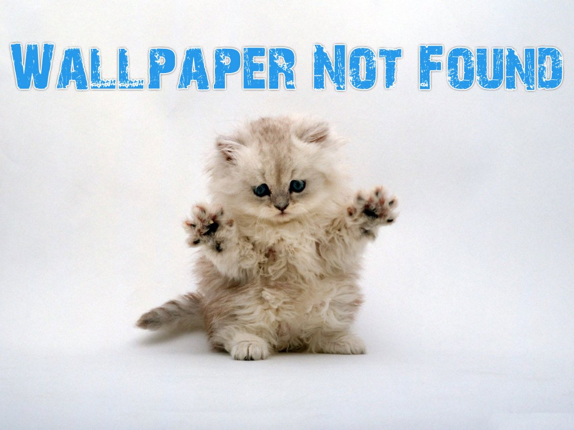 Download Wallpaper Wallpaper not found - Funny wallpaper