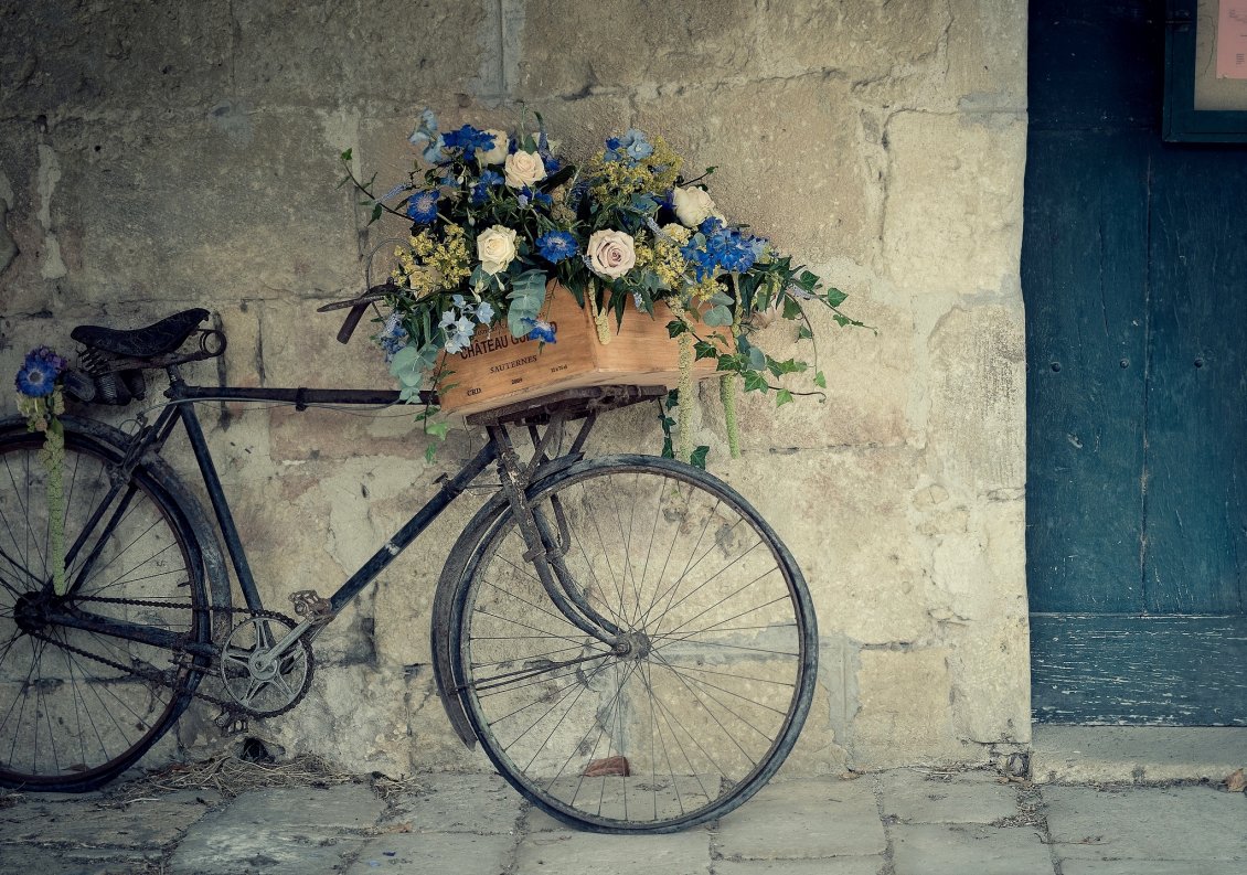 Download Wallpaper A basket with flowers on the old bicycle