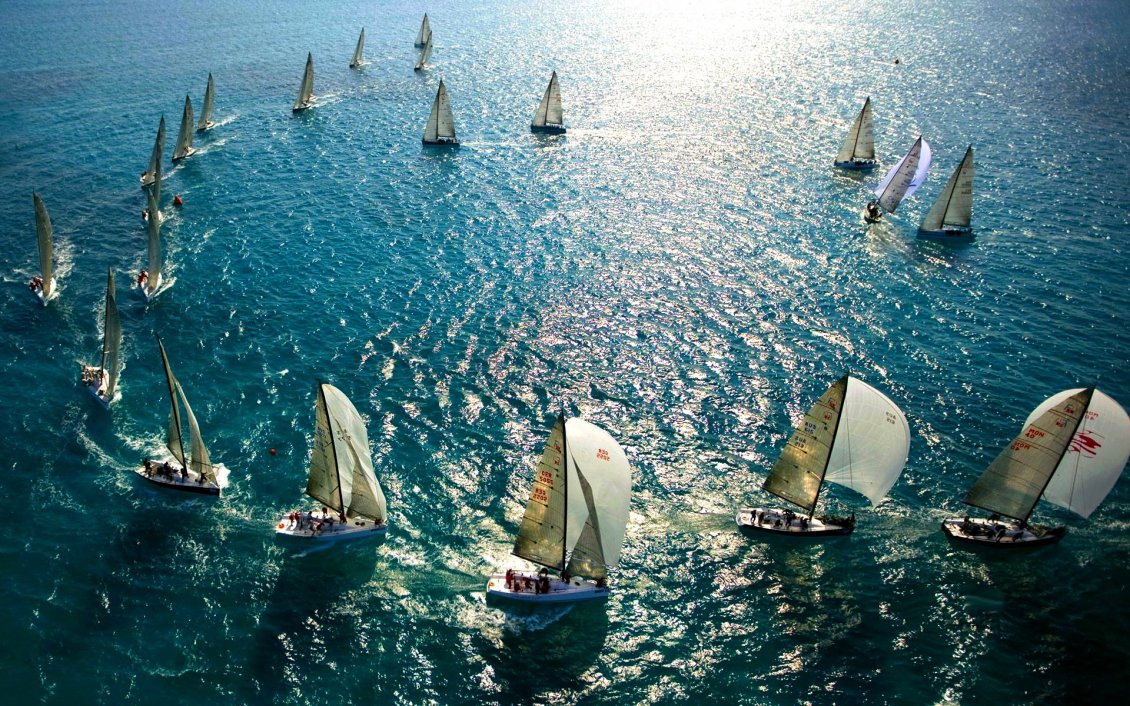 Download Wallpaper Many sailboats on the sea in the sunshine