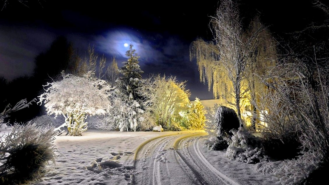 Download Wallpaper A beautiful landscape of winter in the moonlight