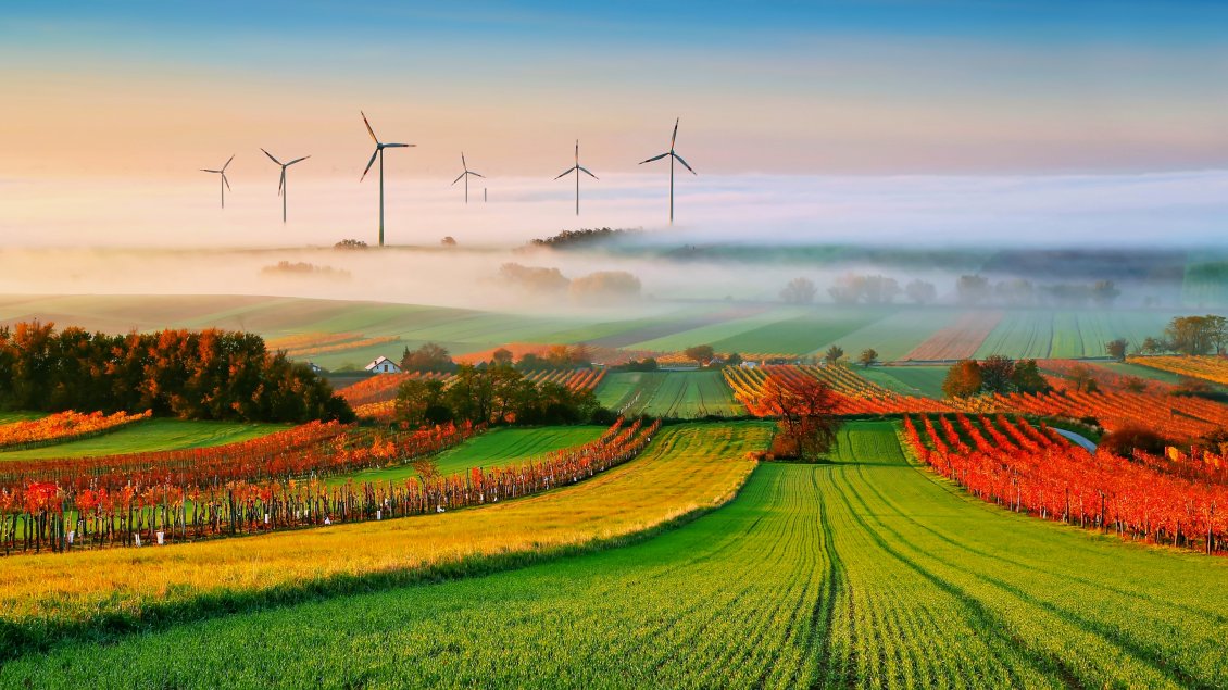 Download Wallpaper Fog over the plains - Many windmills in the distance