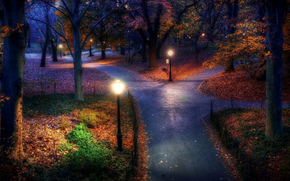 Download Wallpaper Three paths in the park - night landscape