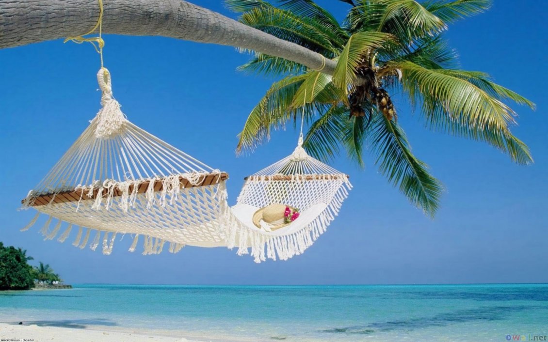 Download Wallpaper White hammock and a sunny summer day