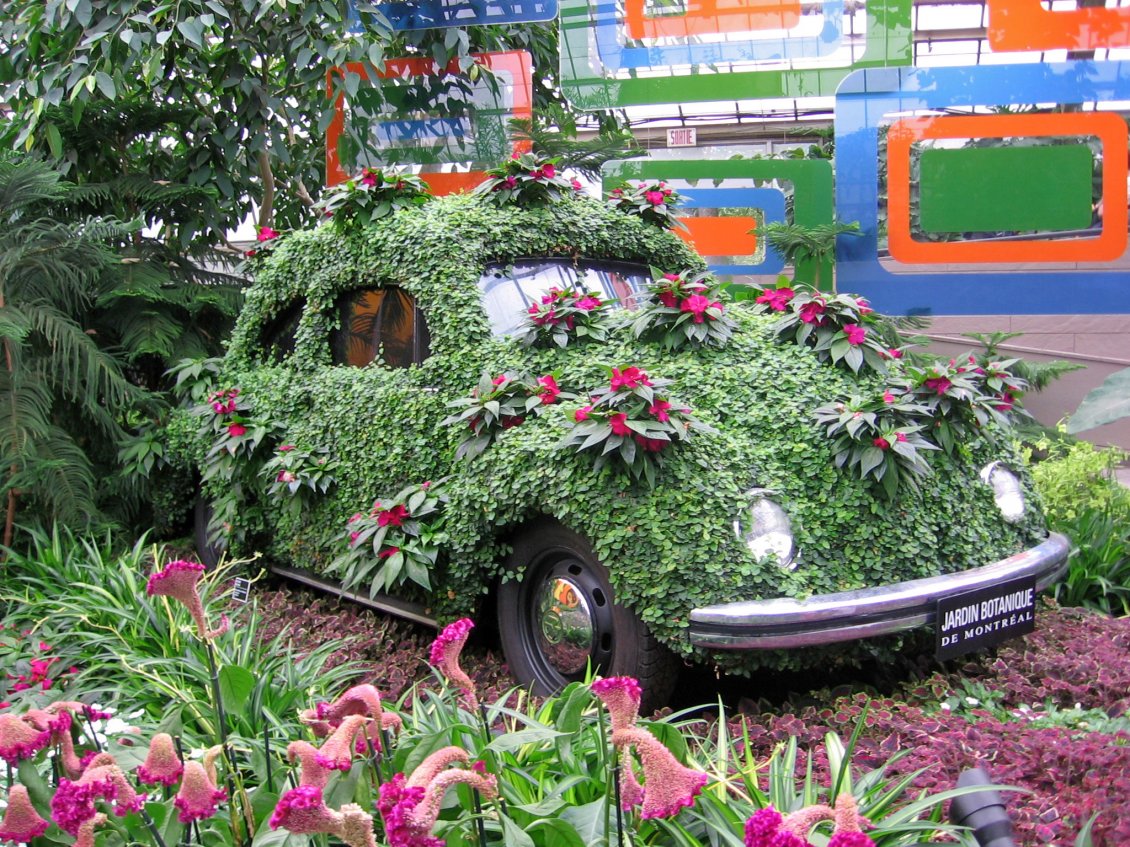 Download Wallpaper Green and pink car in the botanical garden