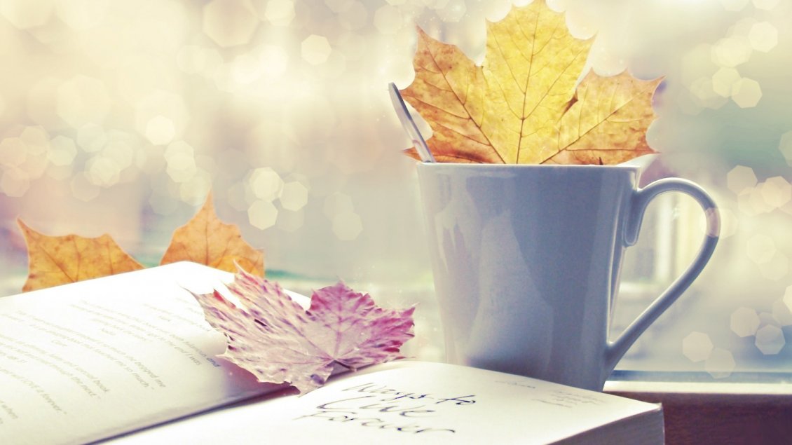Download Wallpaper Colored leaves in the tea cup and on the book