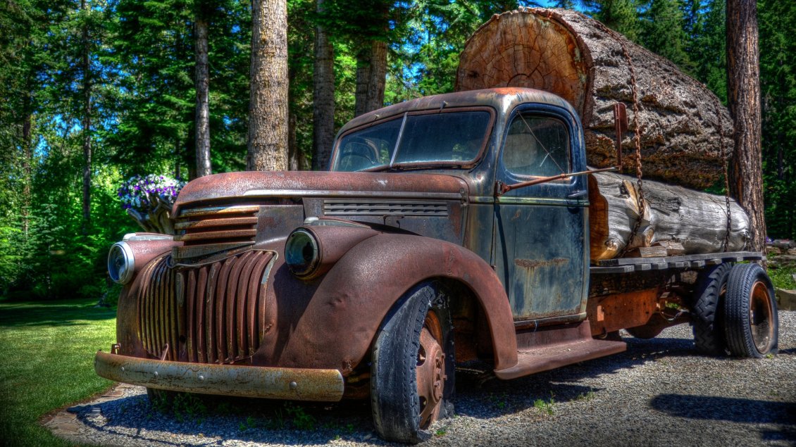 Download Wallpaper A vintage car loaded with wood in the forest