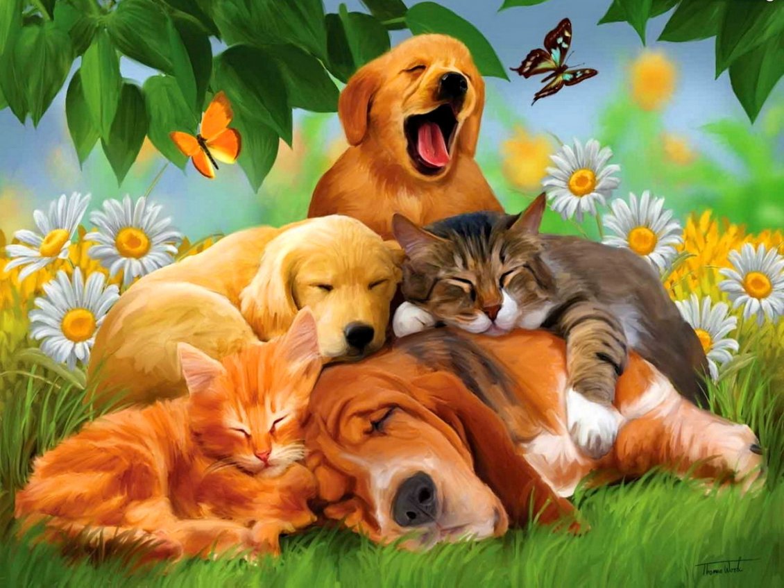 Download Wallpaper Dogs and cats sleep in the garden between the flowers