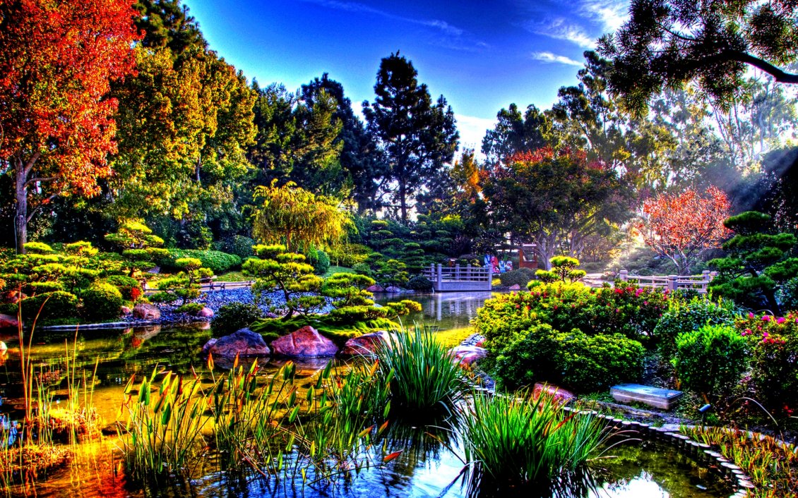 Download Wallpaper Colorful nature in the sun rays - Japanese Garden Wallpaper
