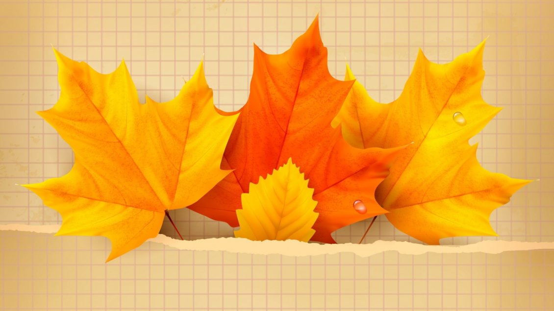 Download Wallpaper Three yellow and orange leaves - Autumn time