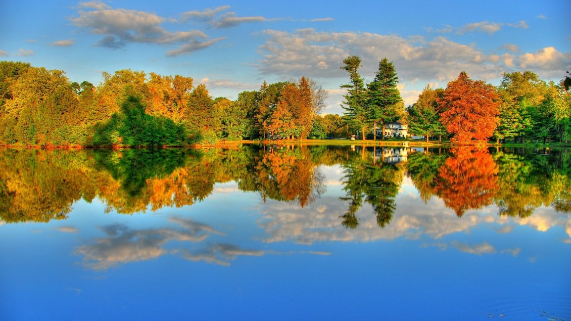 Download Wallpaper Colorful trees around the lake - Wonderful landscape
