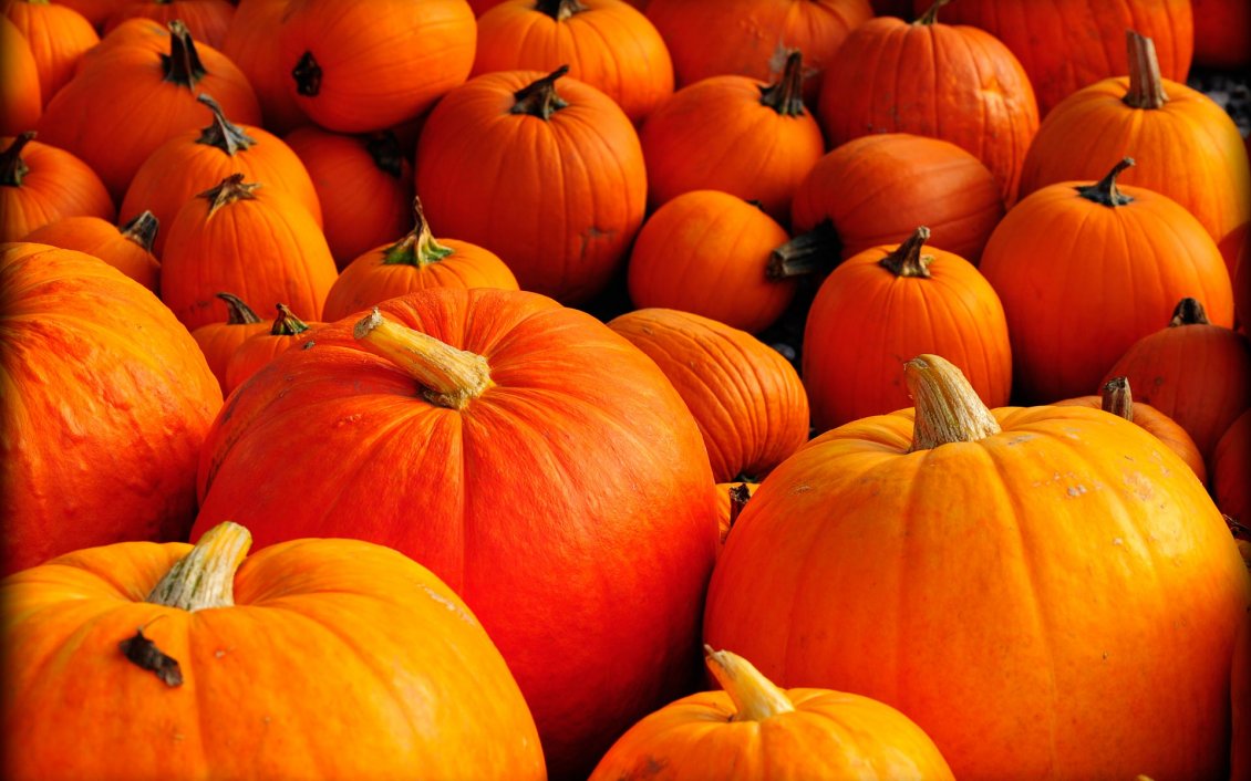 Download Wallpaper Orange pumpkins - Halloween is here