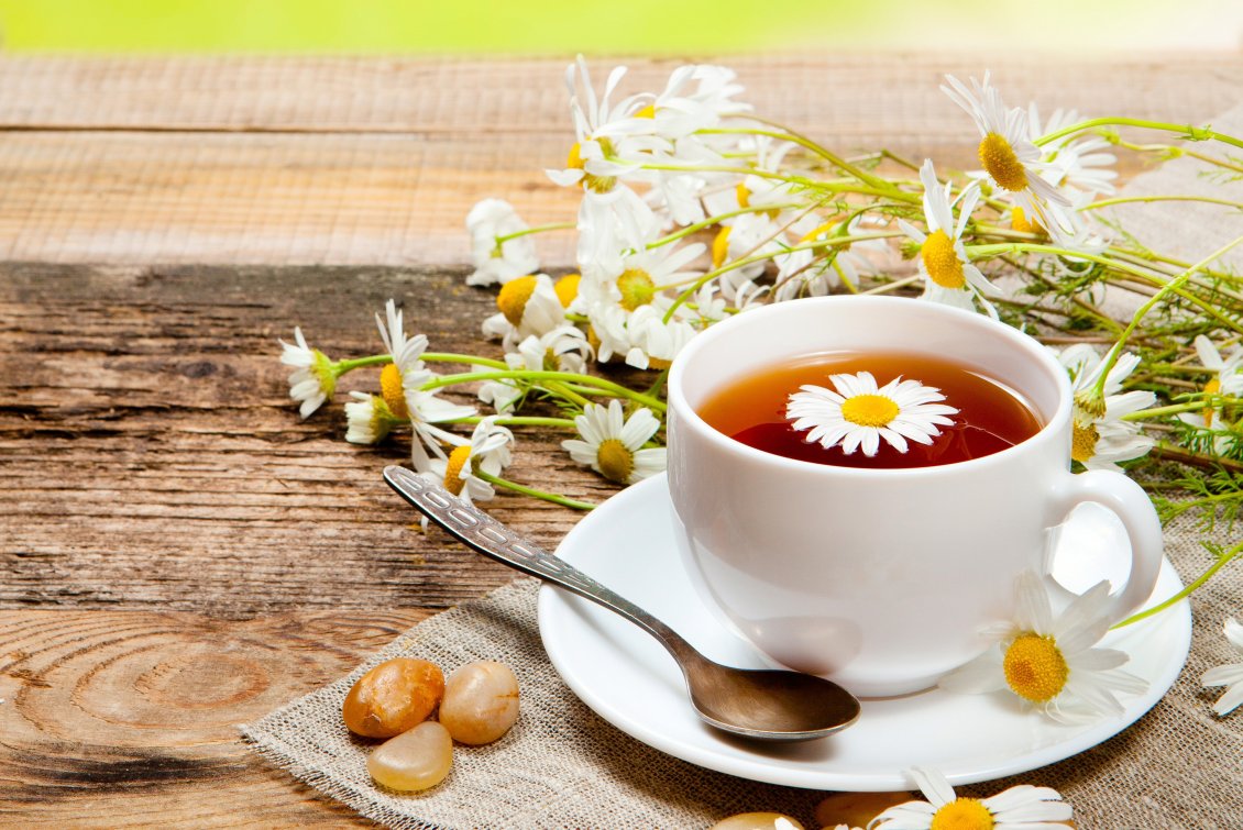 Download Wallpaper Chamomile tea - Have a good day every day