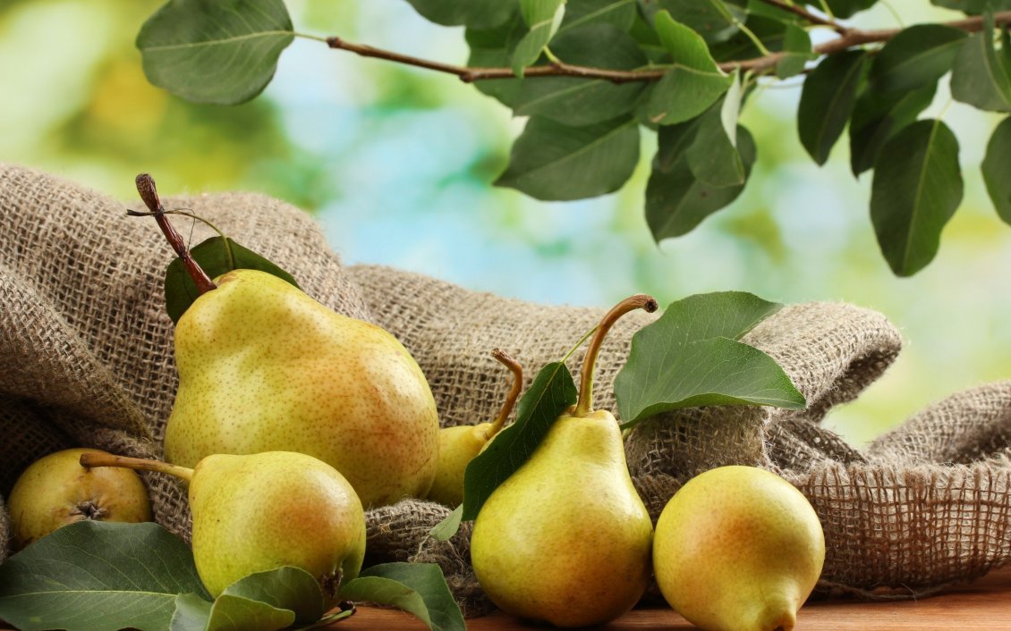 Download Wallpaper Autumn pears - fruit garden