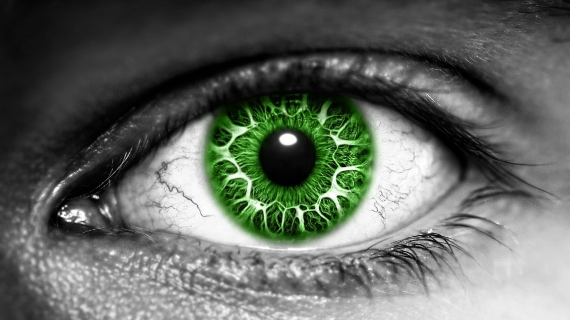 Download Wallpaper Big green eye - Digital art - HD miscellaneous wallpaper