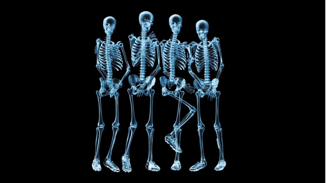 Download Wallpaper Funny skeletons naked - HD wallpaper