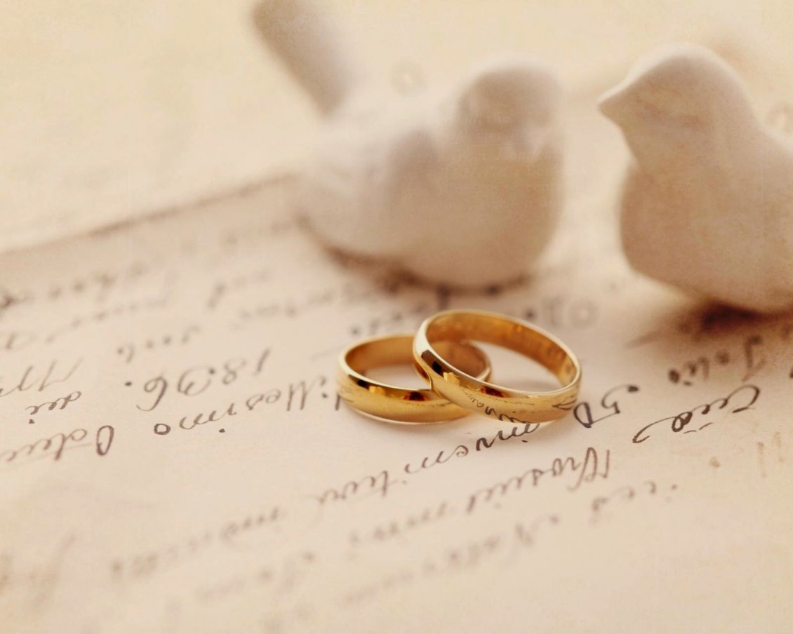 Download Wallpaper Two white birds and two wedding rings - Love time