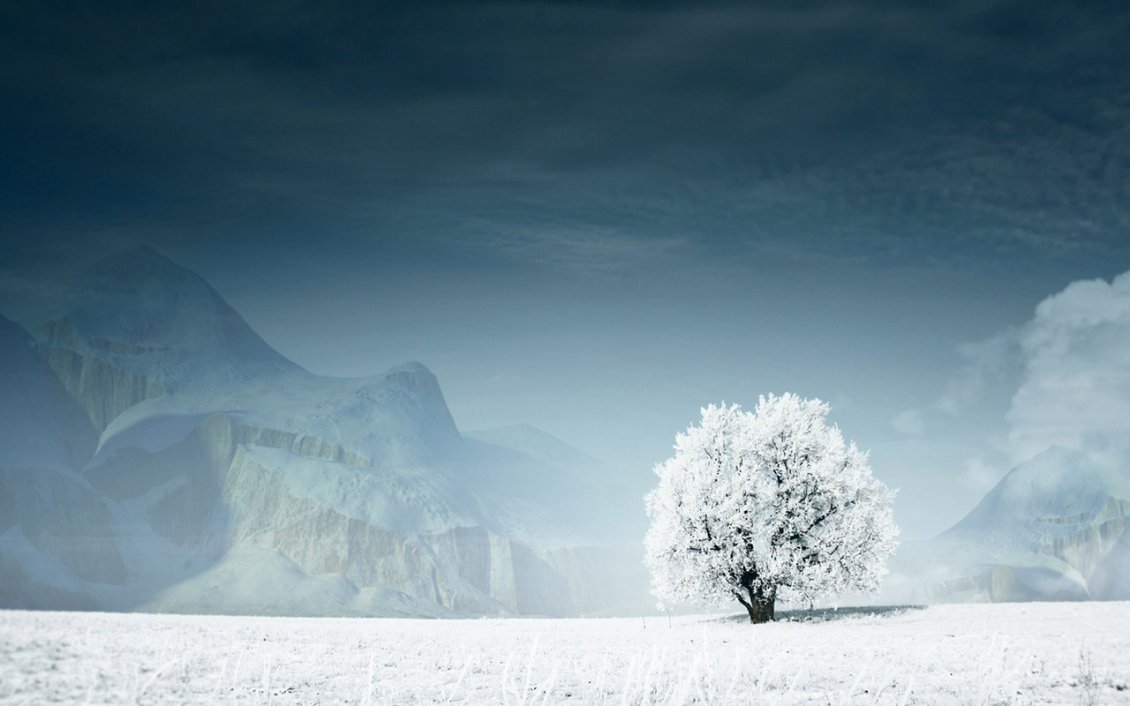 Download Wallpaper Beautiful white tree on the white field - mountain in back