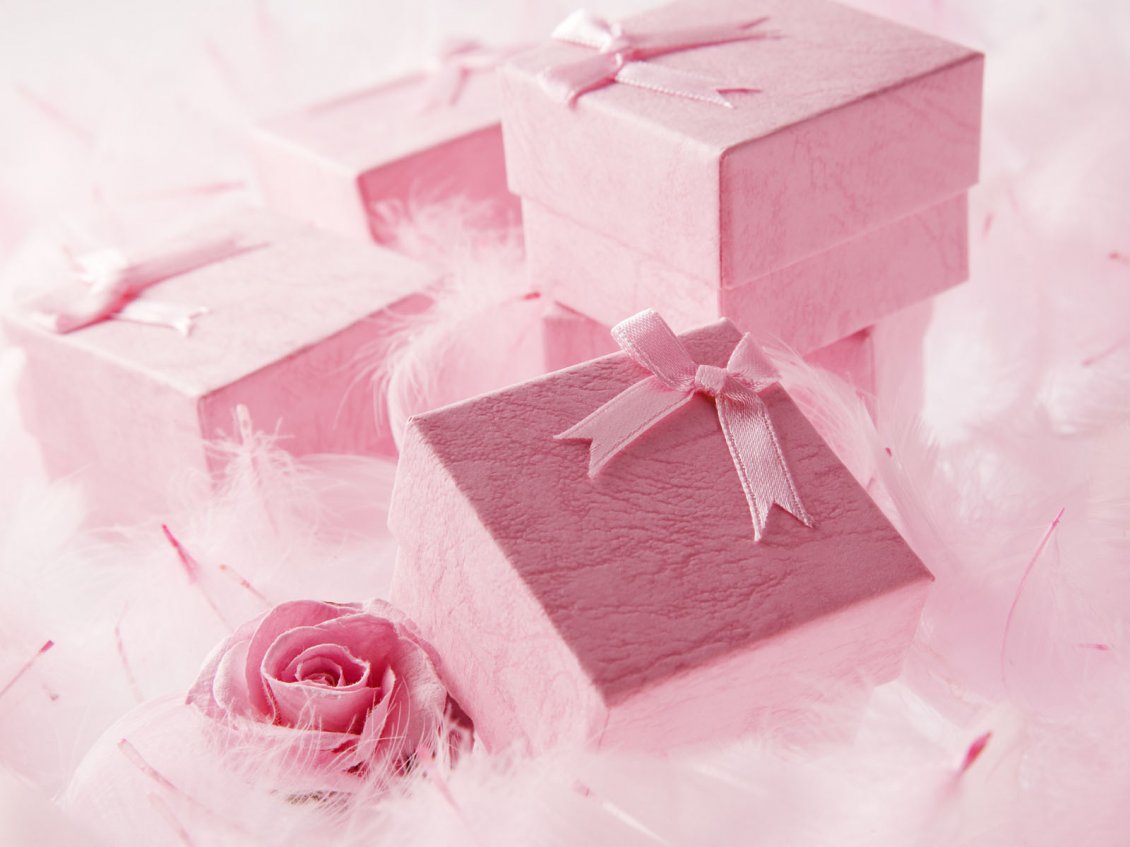 Download Wallpaper Beautiful pink gift for a special Valentine's Day