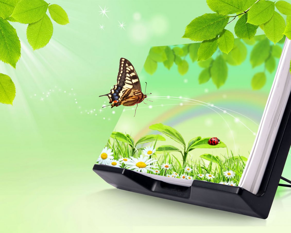 Download Wallpaper Magic book - nature and butterfly
