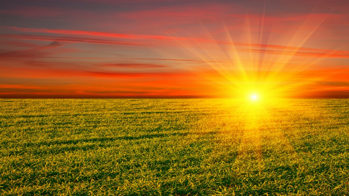 Download Wallpaper Golden sun over the green field - HD nature wallpaper