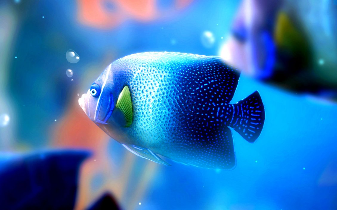 Download Wallpaper Big blue fish under the water - HD wallpaper