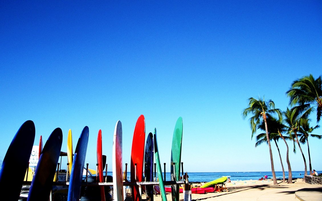 Download Wallpaper Colored surfboards at the beach - summer sport on the water