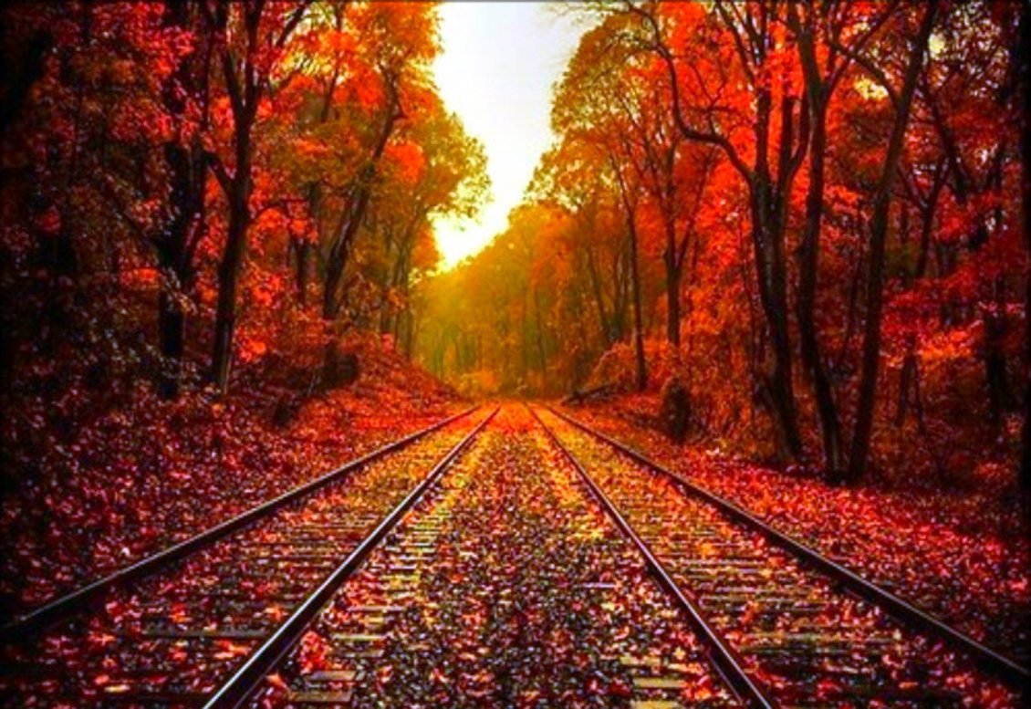 Download Wallpaper Autumn leaves on the rails - HD wonderful wallpaper