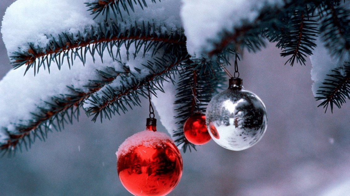 Download Wallpaper Red and silver Christmas balls - Snow on the tree