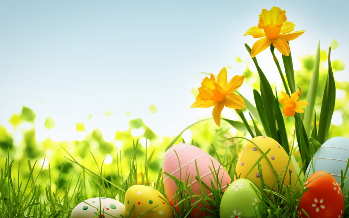 Download Wallpaper Wonderful yellow spring flower and Easter eggs on the grass