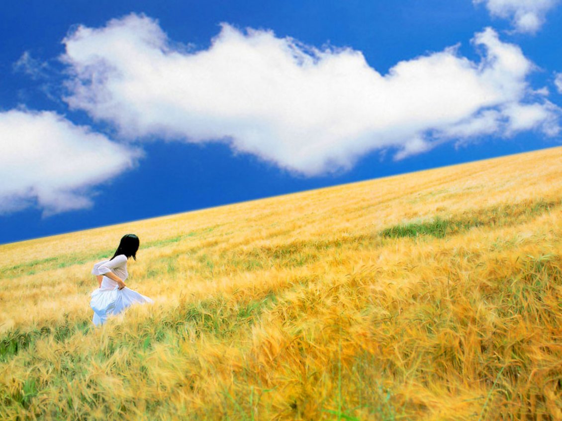 Download Wallpaper Running through the wheat field  - Golden summer time
