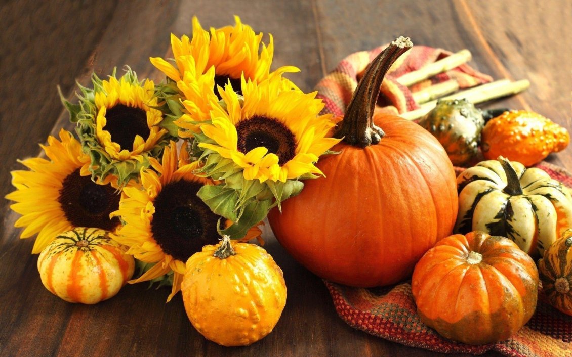 Download Wallpaper Sunflowers and pumpkins - Halloween party
