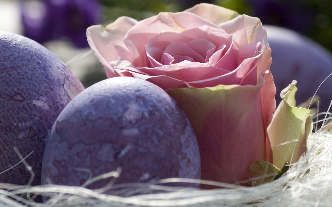 Download Wallpaper Beautiful pink rose and purple Easter eggs on a basket