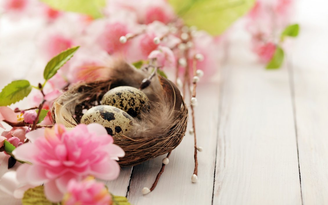 Download Wallpaper Two quail eggs in the nest - Happy Spring time