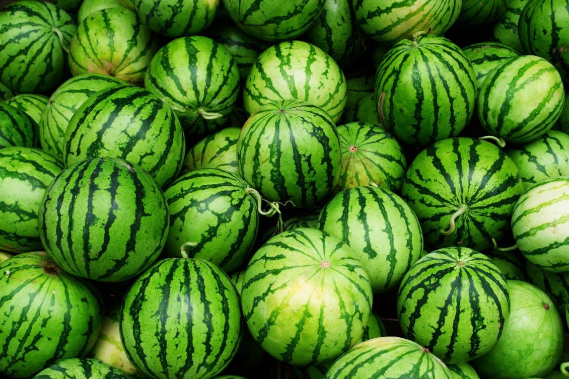 Download Wallpaper Green wallpaper - lots of watermelons - delicious fruit