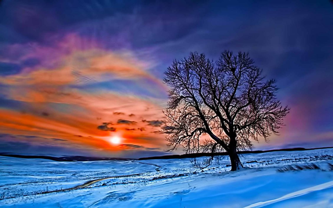 Download Wallpaper Sun on a winter day - Cold season of the year